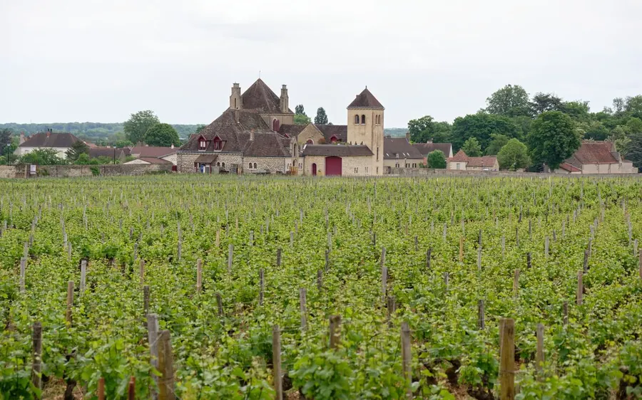 Le château du Clos de Vougeot au milieu des vignes de Bourgogne